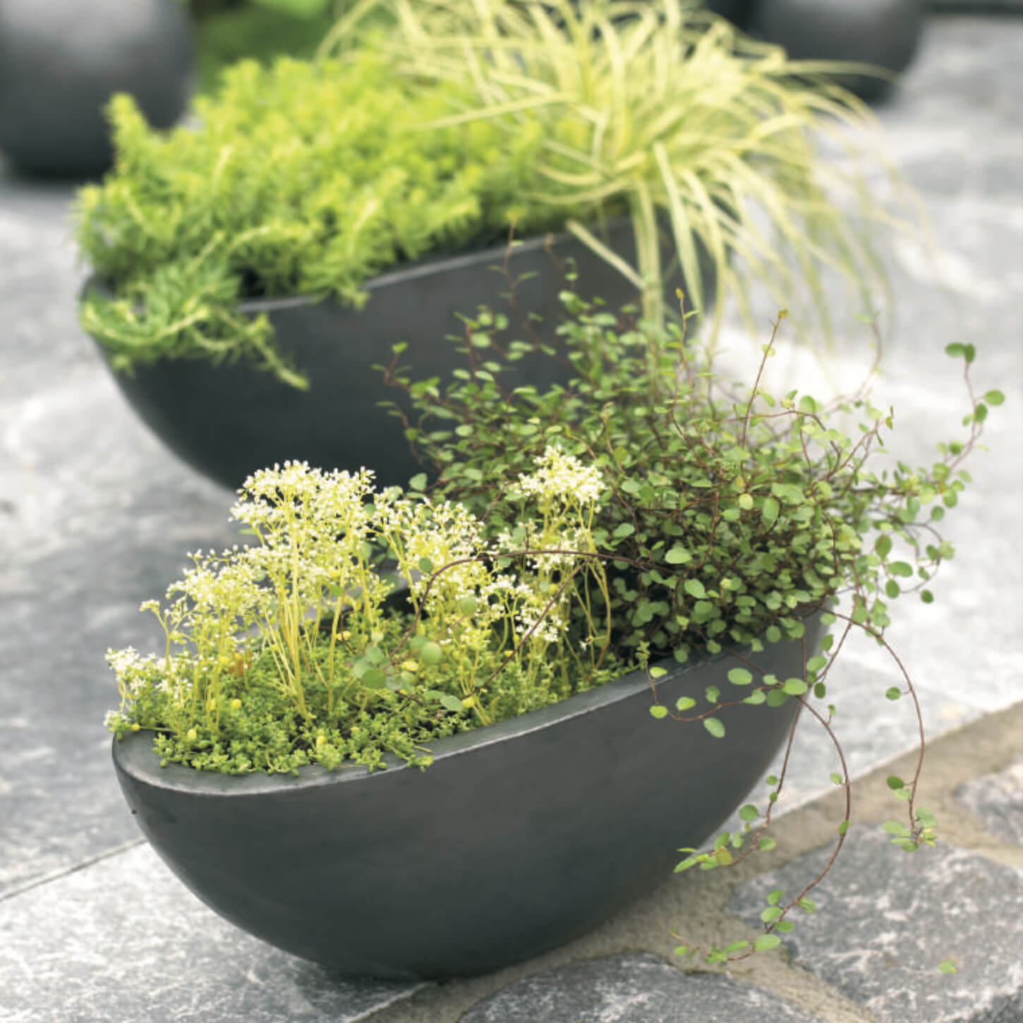 Ovale Pflanzschalen für draußen - 2er Set - Keramik - Legumero