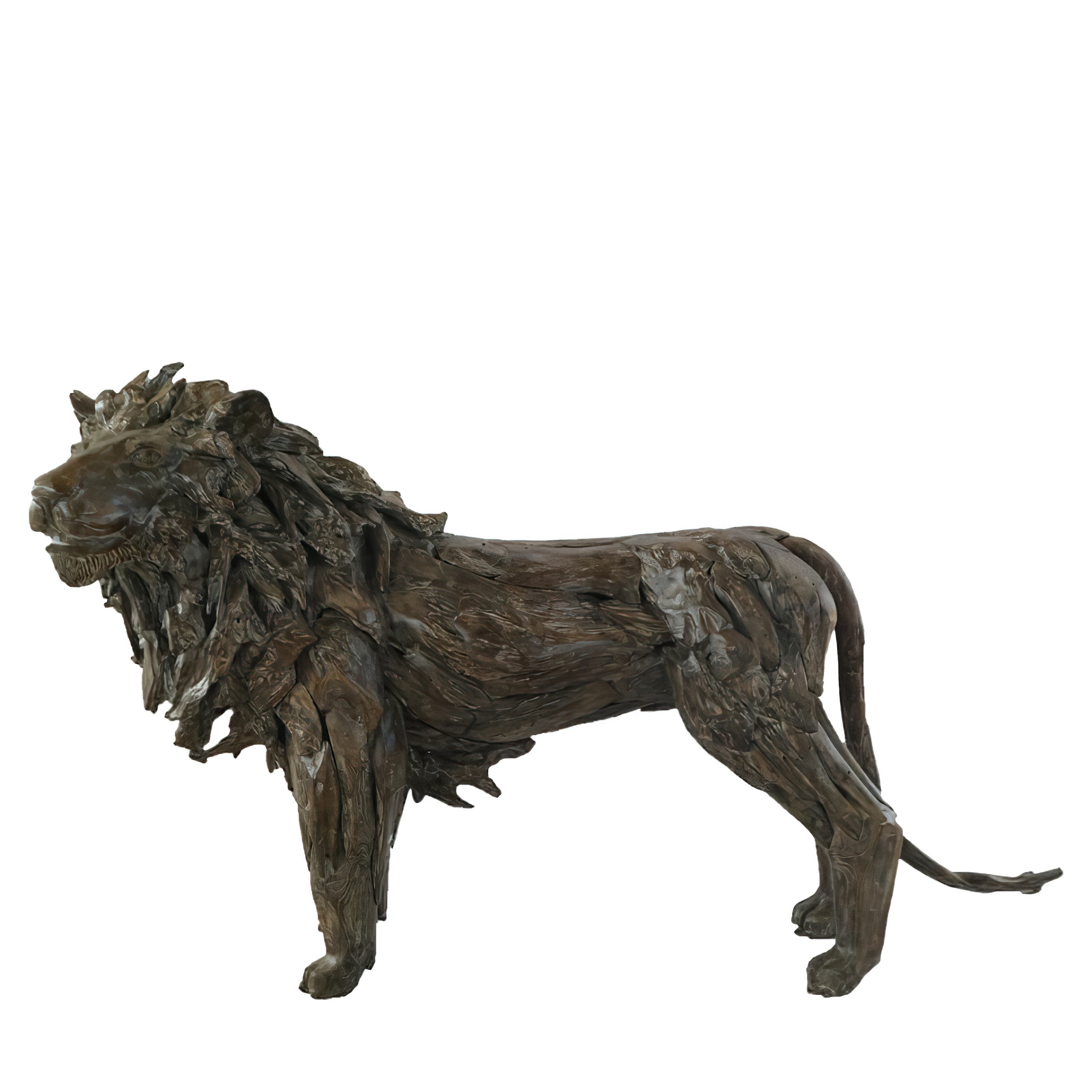 AS-H-TR-LION-200NA-1