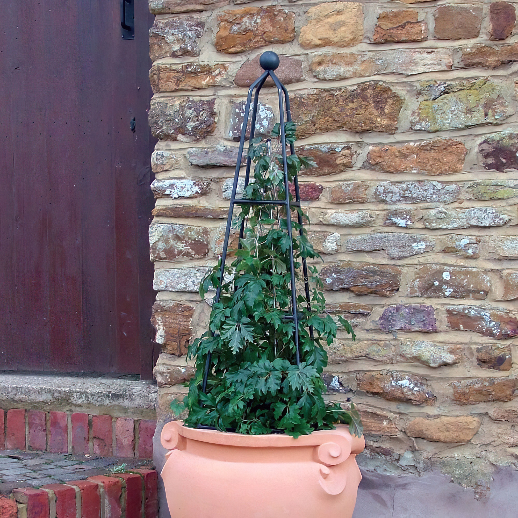 Support métallique noir pour plantes avec plante grimpante dans un grand pot en terre cuite devant un mur en pierre