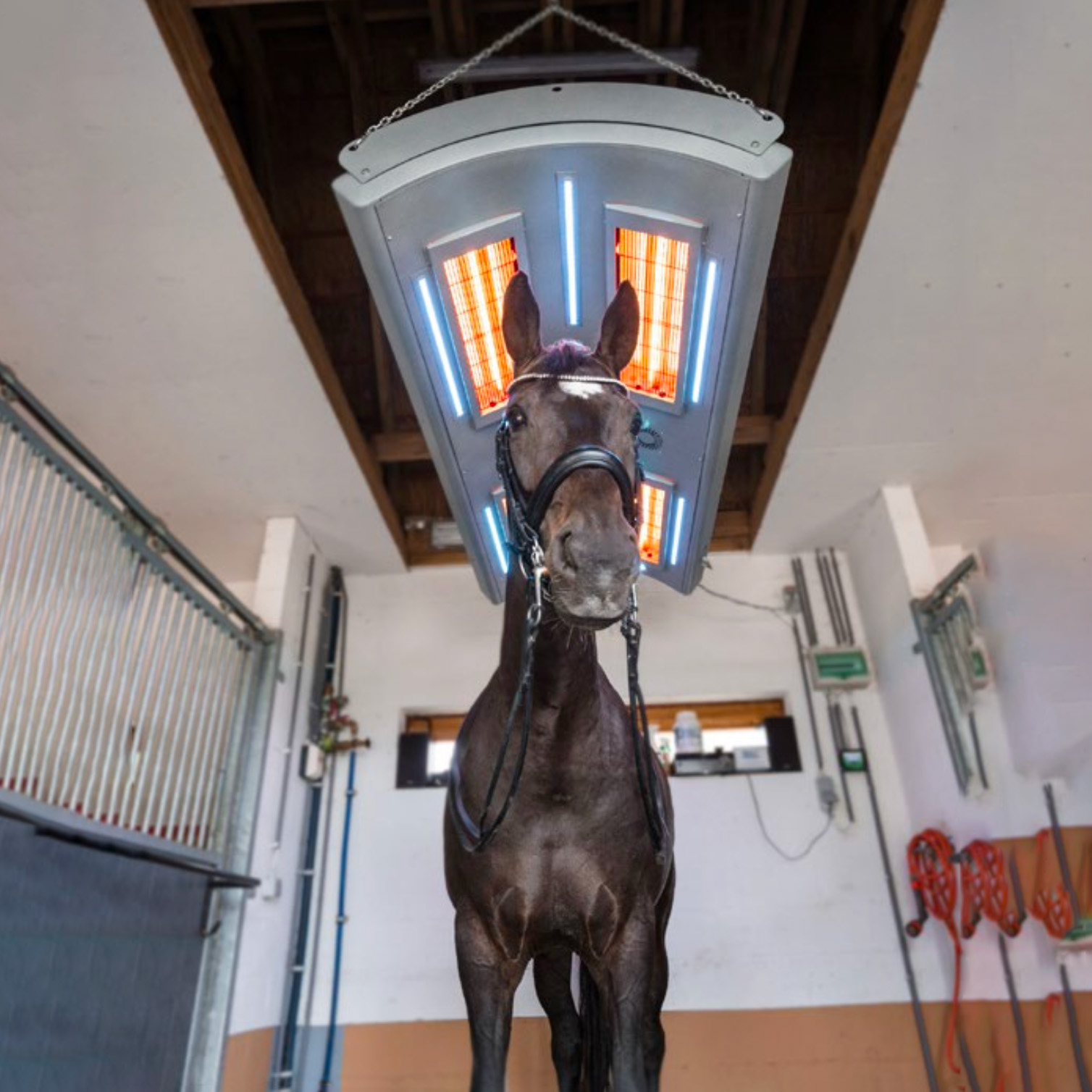 Hängendes Infrarot Pferdesolarium mit Heizer und LED - Hisan / 20x197x80cm (HxBxT) / ohne Timer
