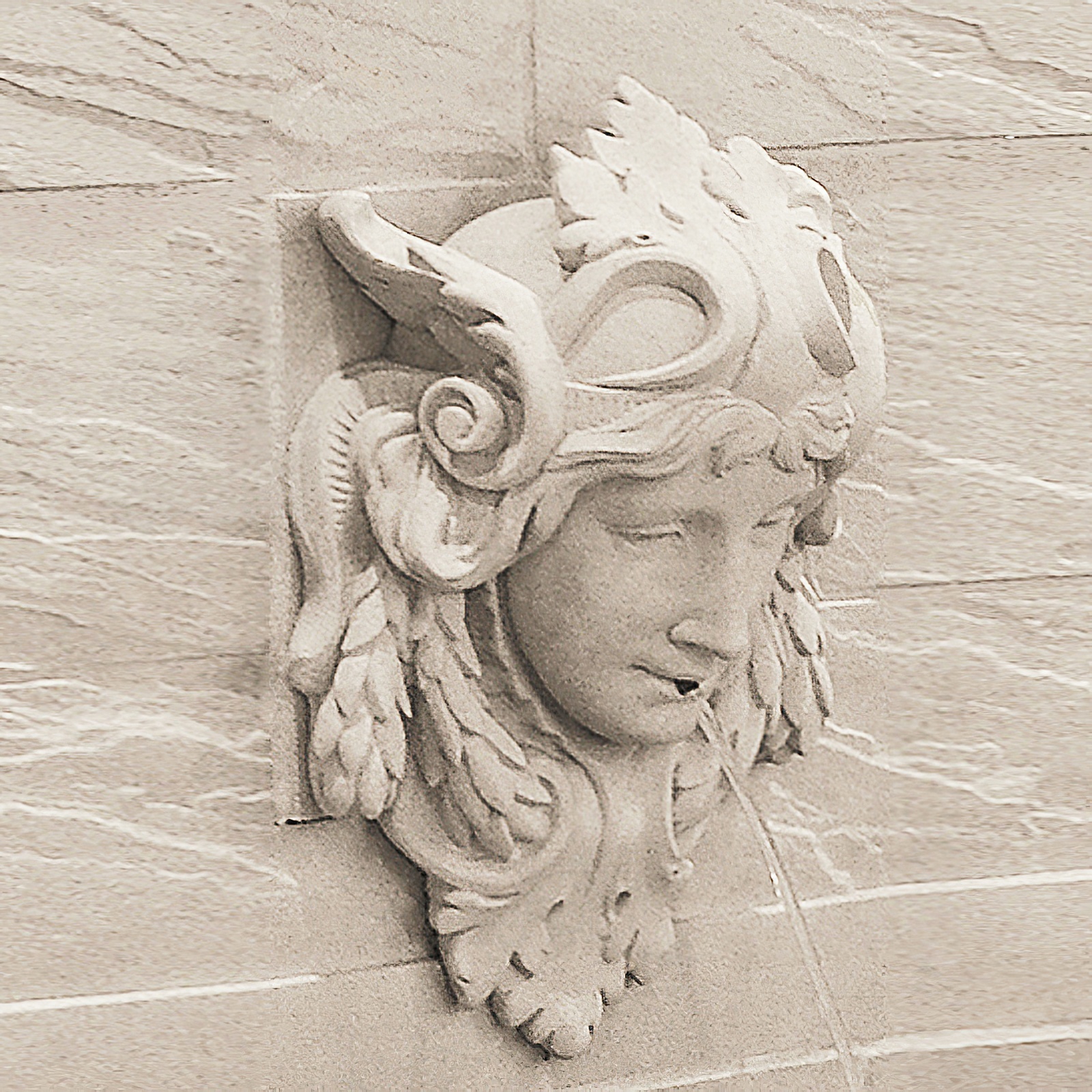 Garten Wasserspeier kaufen - Nymphea / Sand