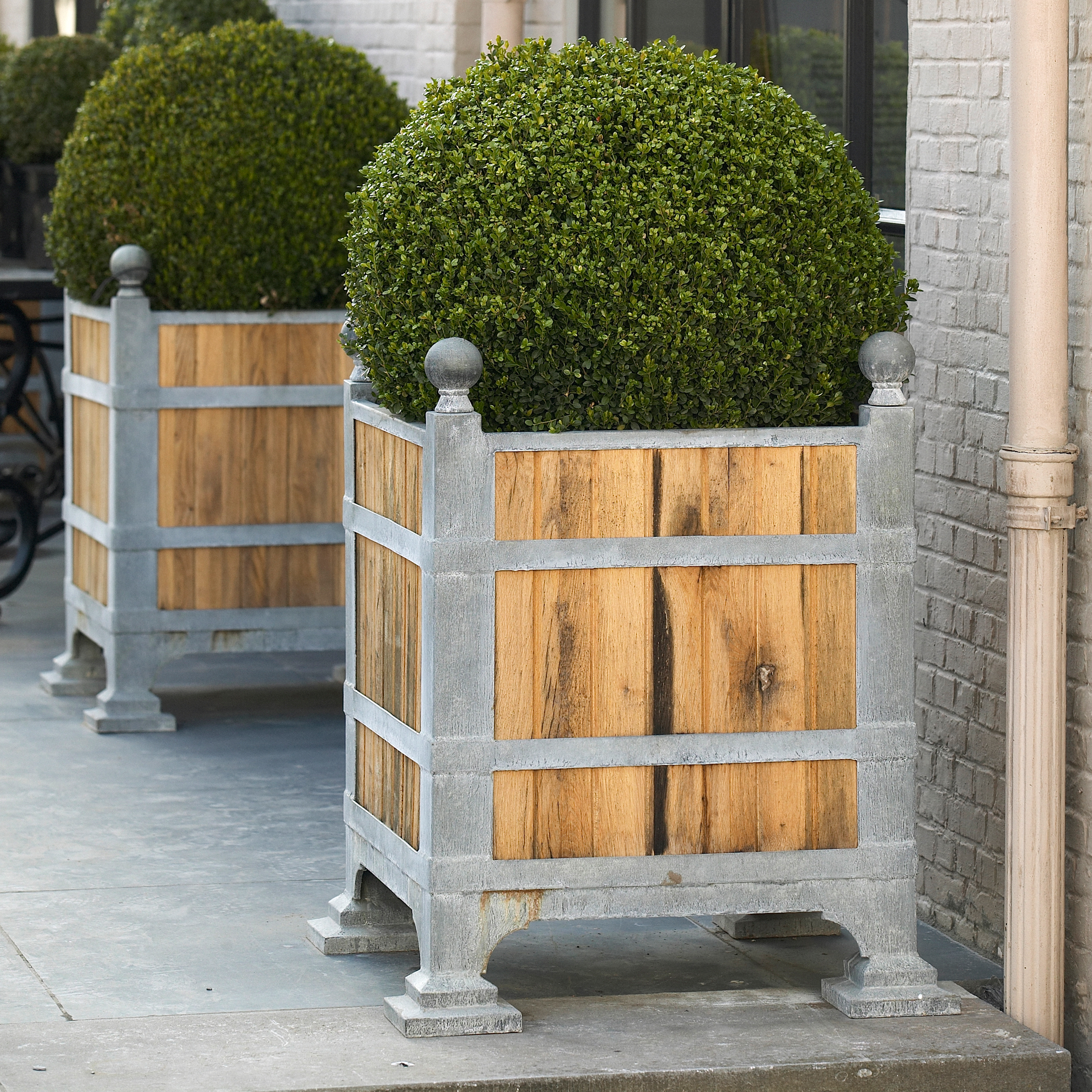 Grande jardinière carrée en bois avec cadre métallique contenant une plante verte ronde sur une terrasse