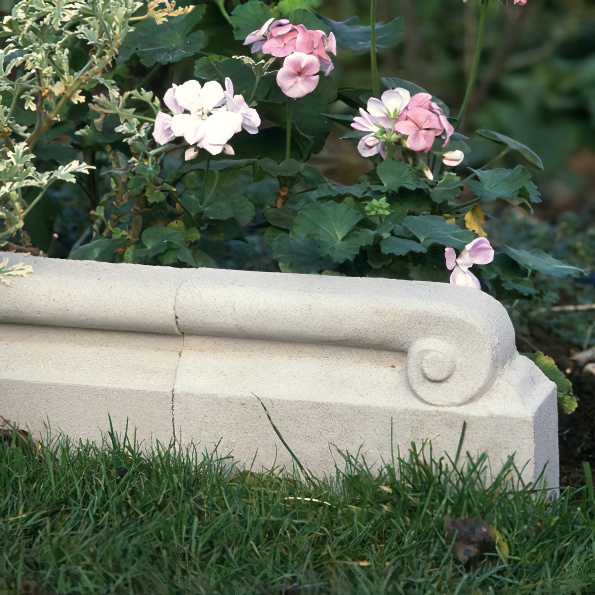 Beige Gartenrand mit Ornament neben grünem Gras und rosa Blüten