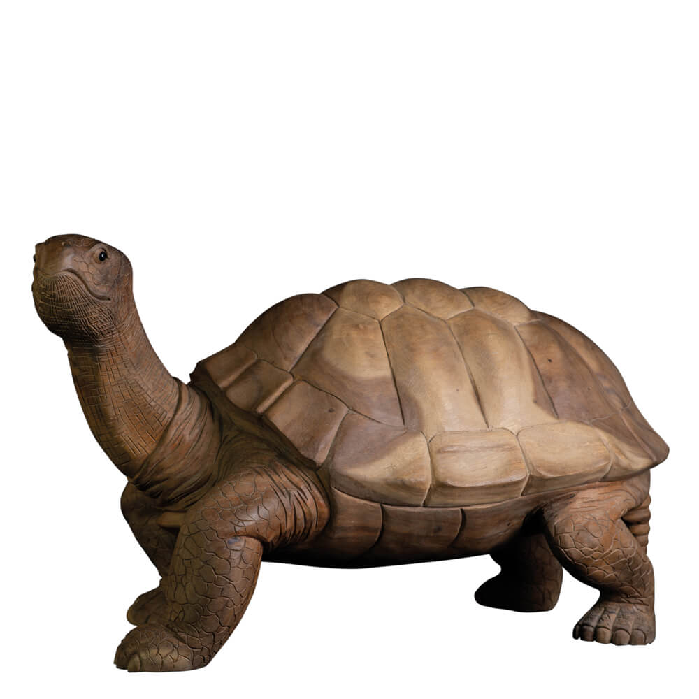 AS-H2-TURTLE-100NA-1