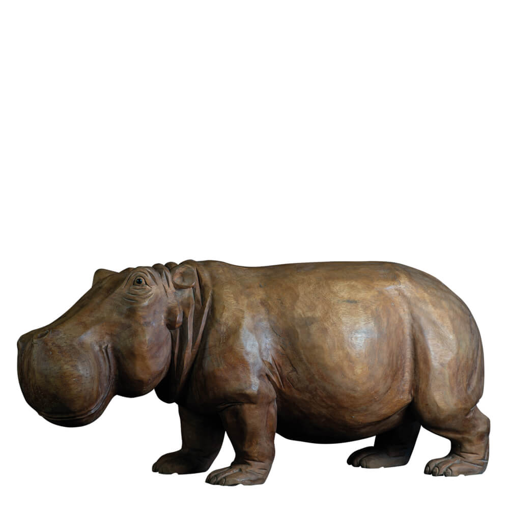 AS-H2-HIPPO-080NA-1