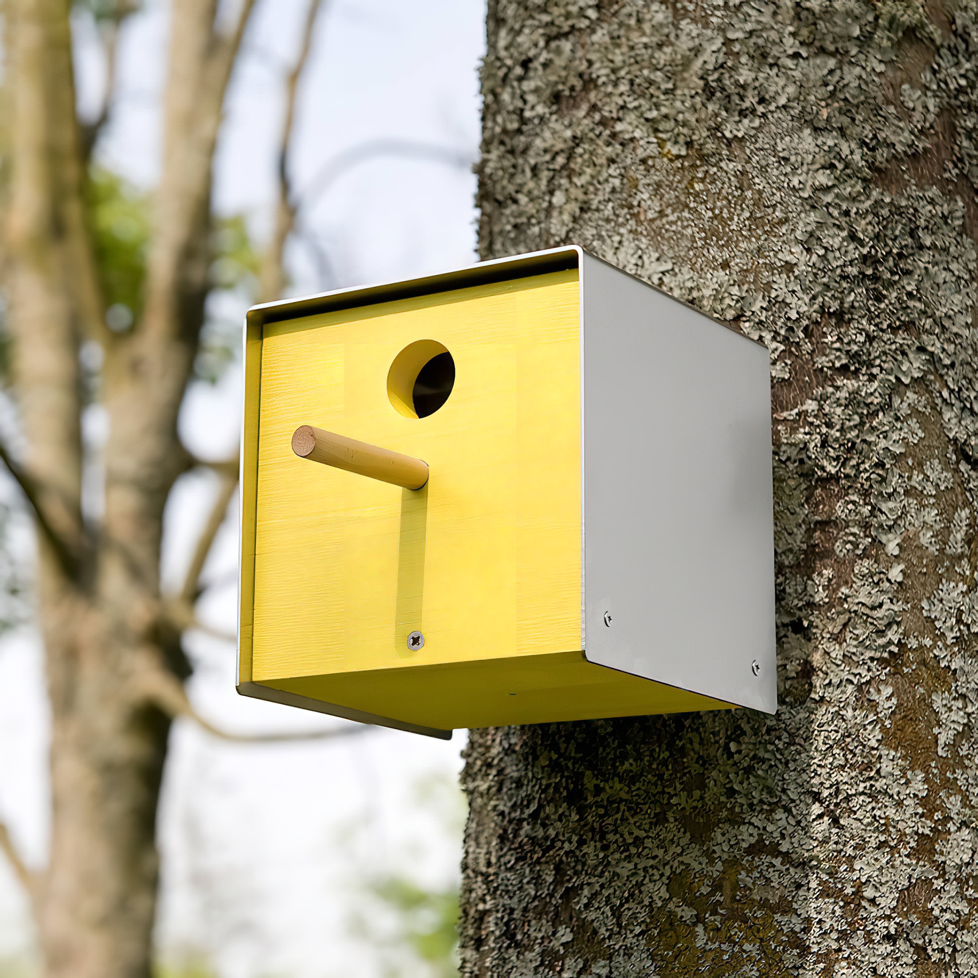 Nichoir jaune moderne avec perchoir fixé à un arbre dans un environnement naturel