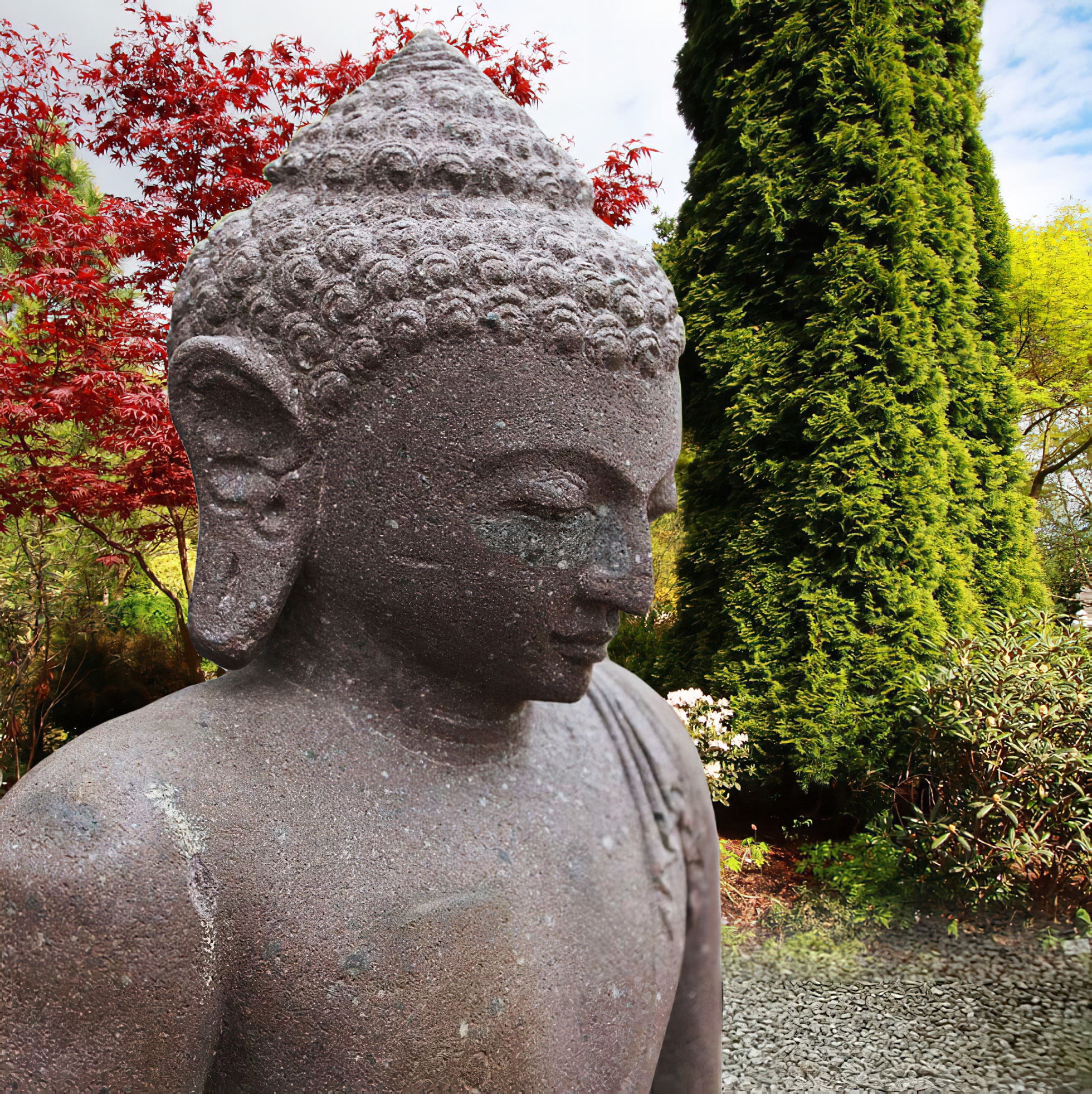 Gros plan d'une statue de Bouddha en pierre entourée de plantes vertes et d'arbres dans le jardin