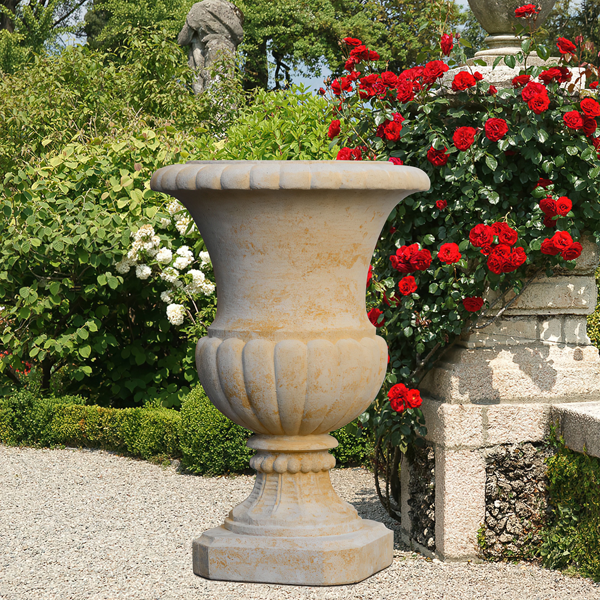 Giara da giardino in pietra davanti a rose rosse fiorite e siepi verdi