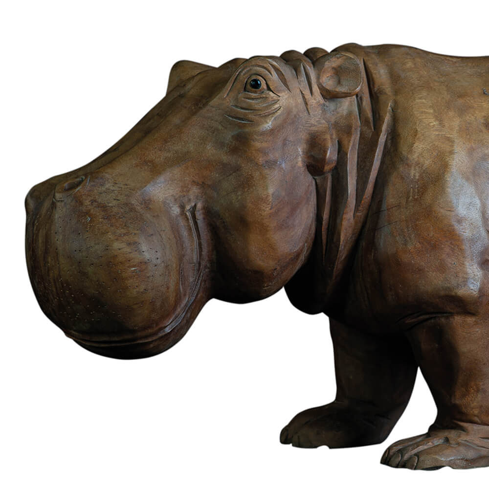 AS-H2-HIPPO-080NA-2