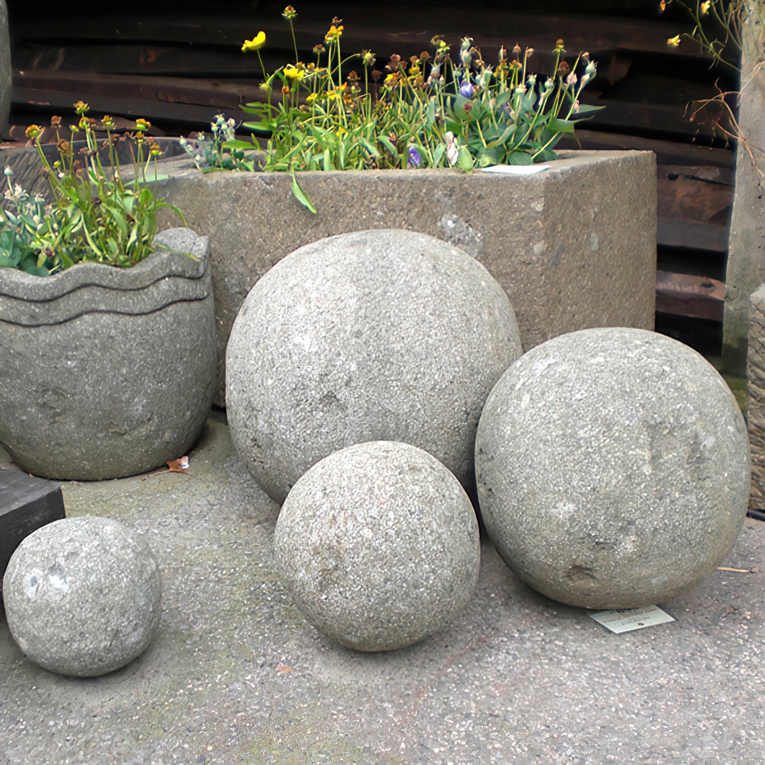 AS-CSt-Ball-035na-1