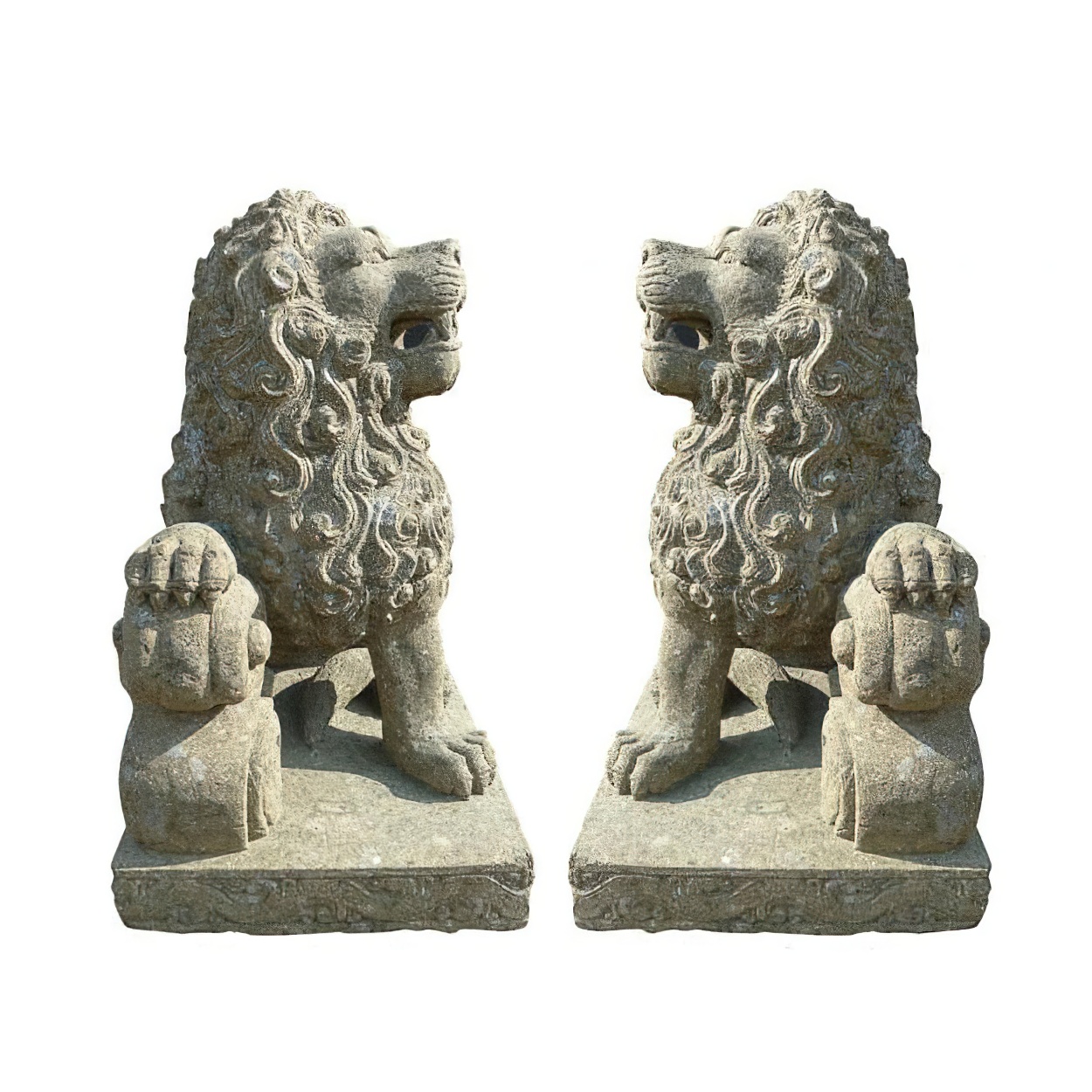 AS-cst-lionr-070na-2