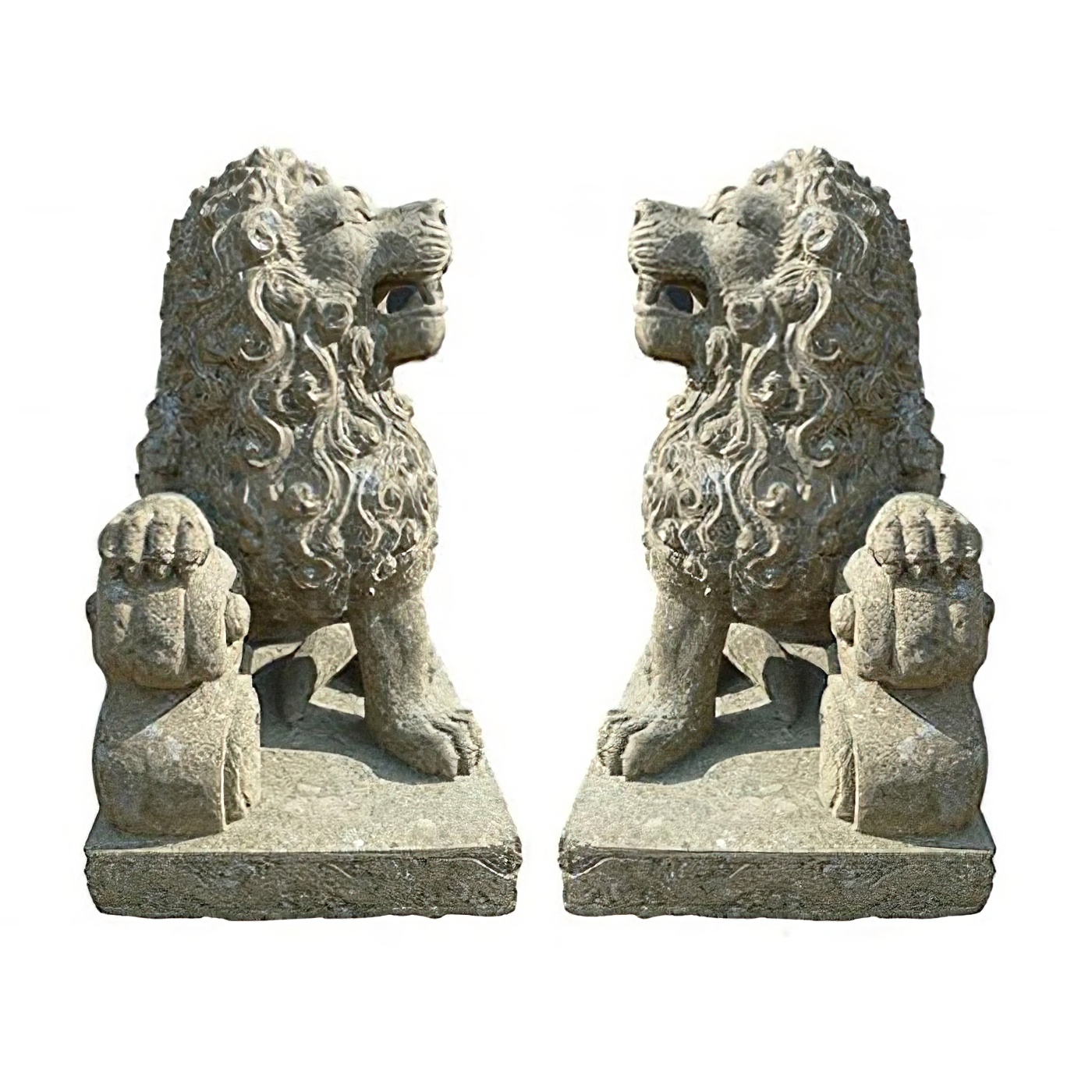 AS-cst-lionr-070na-1