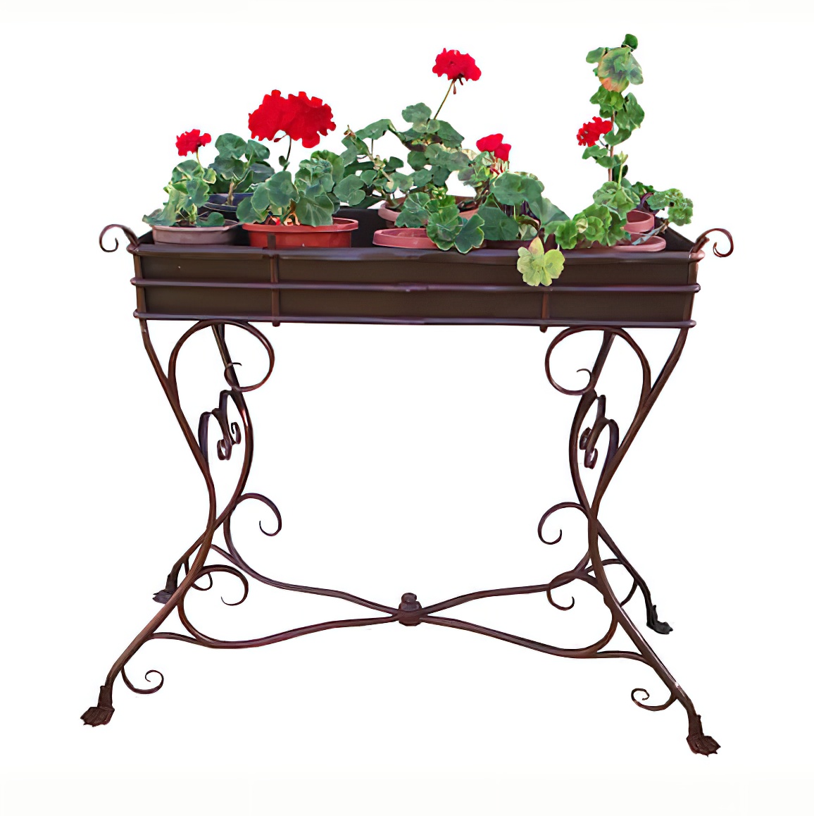 Tavolo in ferro battuto con vasi di fiori rossi, ideale per decorazione da giardino