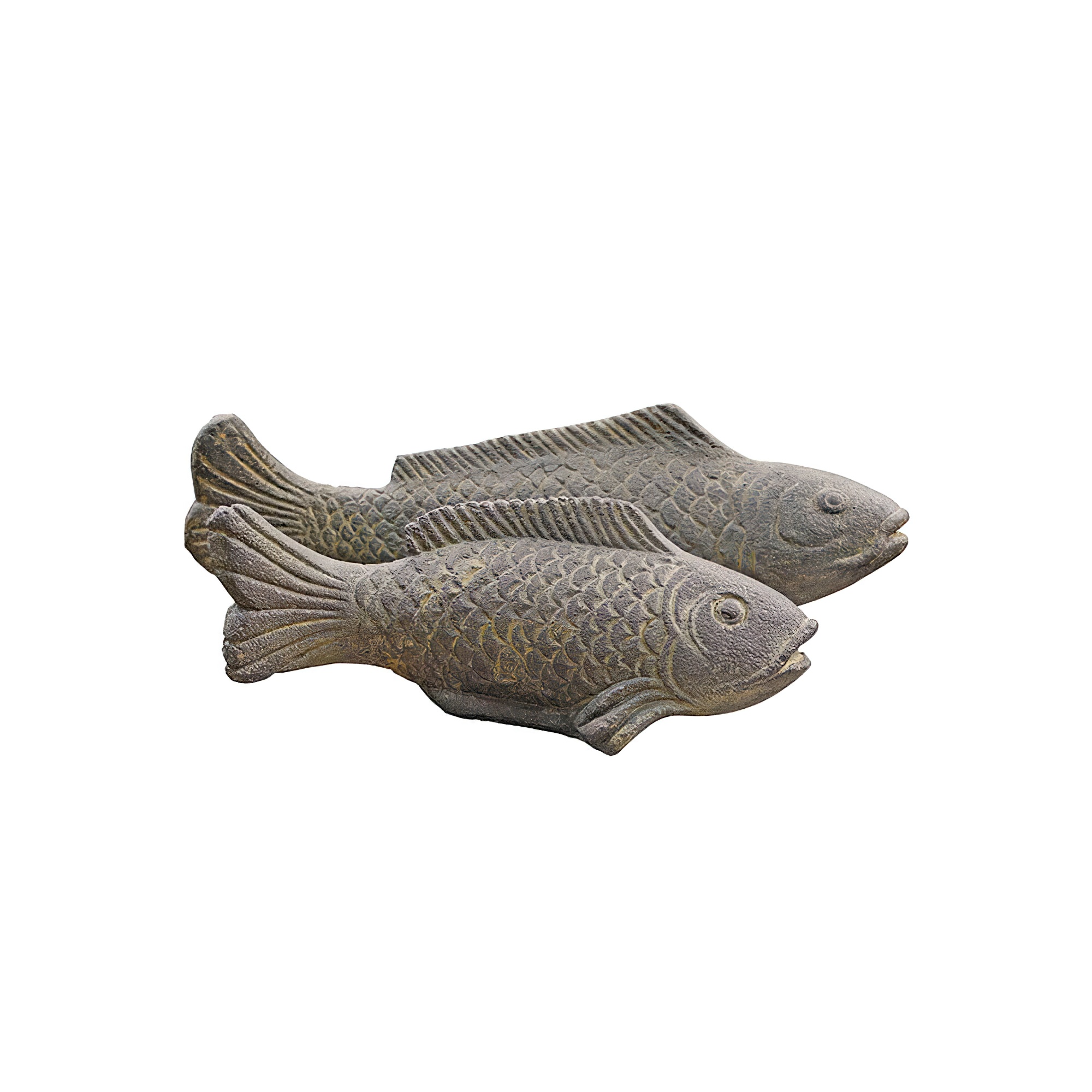 AS-P-FISH-040AF-1