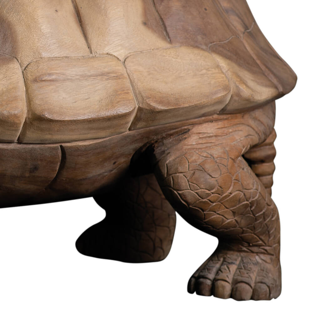 AS-H2-TURTLE-080NA-v-3