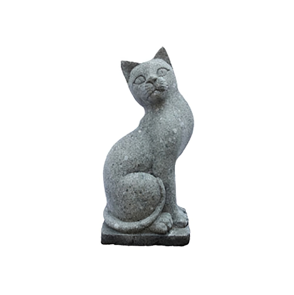 AS-CSt-Cat02-060na-1