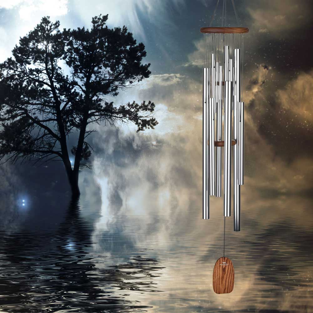Campanellino d'acciaio appeso davanti a un albero e acqua riflettente sotto un cielo drammatico