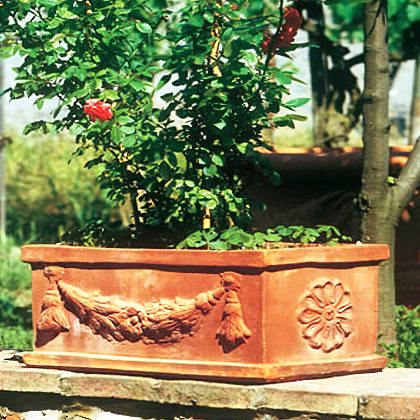 Jardinière rectangulaire en terre cuite avec décorations florales et ornements dans le jardin