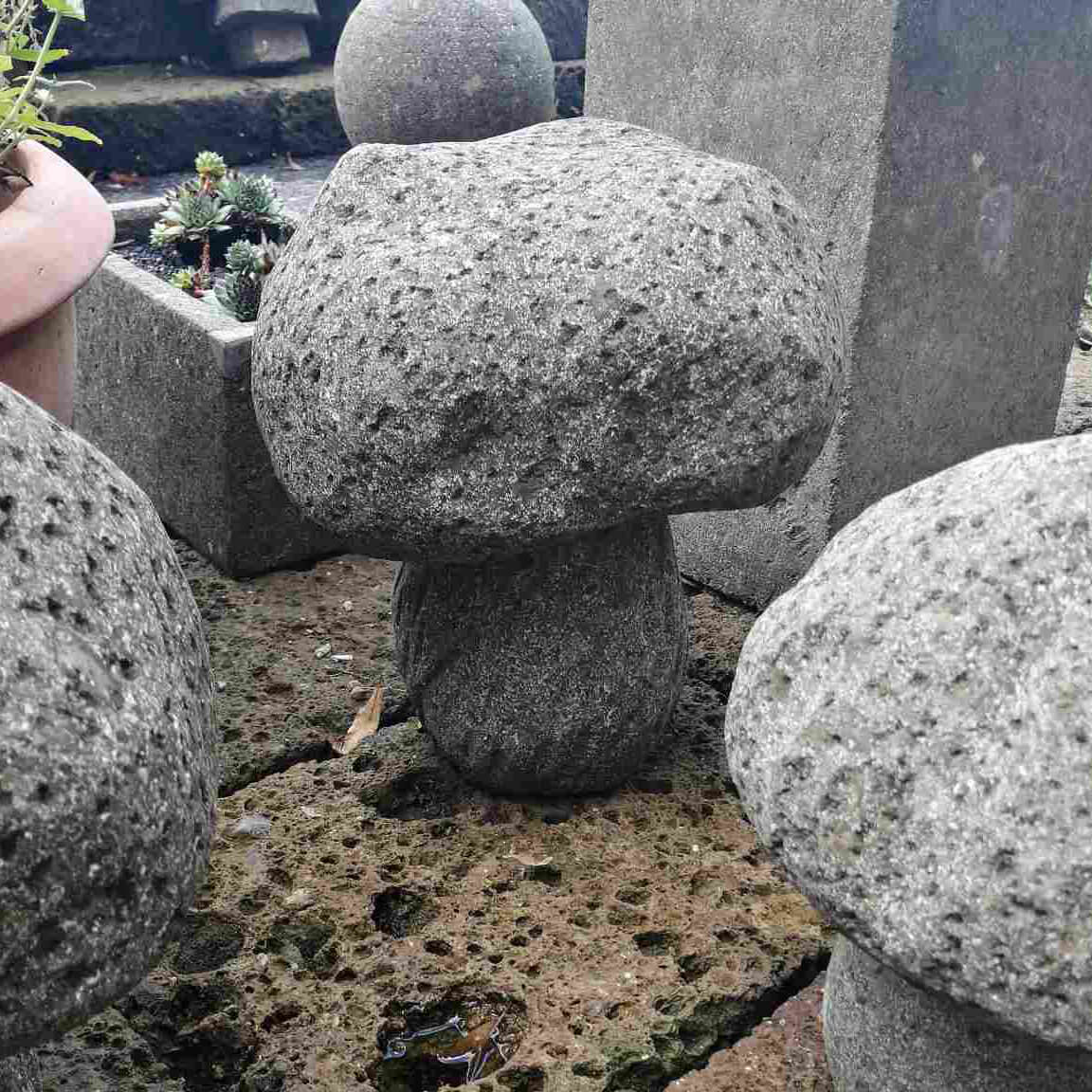 AS-CST-MUSHROOM01-L-2