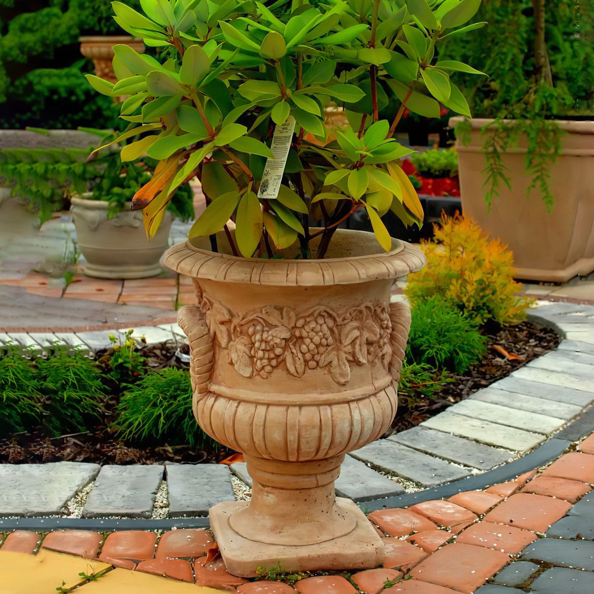 Andalusische Pflanzvase aus Steinguss in verschiedenen Farben - Wein Motiv - Ilinia / Koryntia