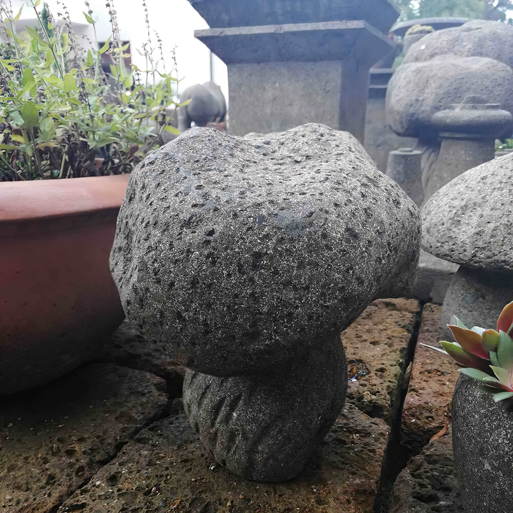 AS-CST-MUSHROOM01-L-3