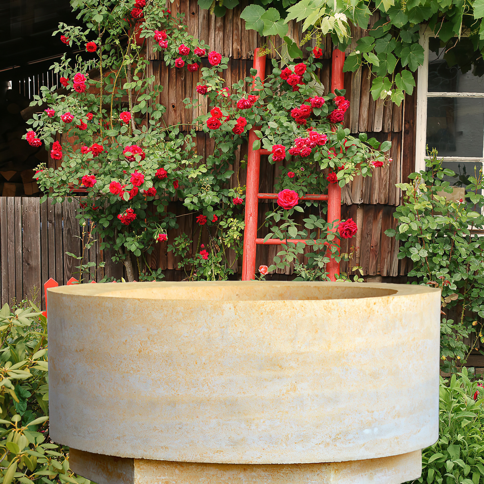 Großer runder Brunnen aus Naturstein mit blühenden roten Rosen im Garten vor Holzzaun