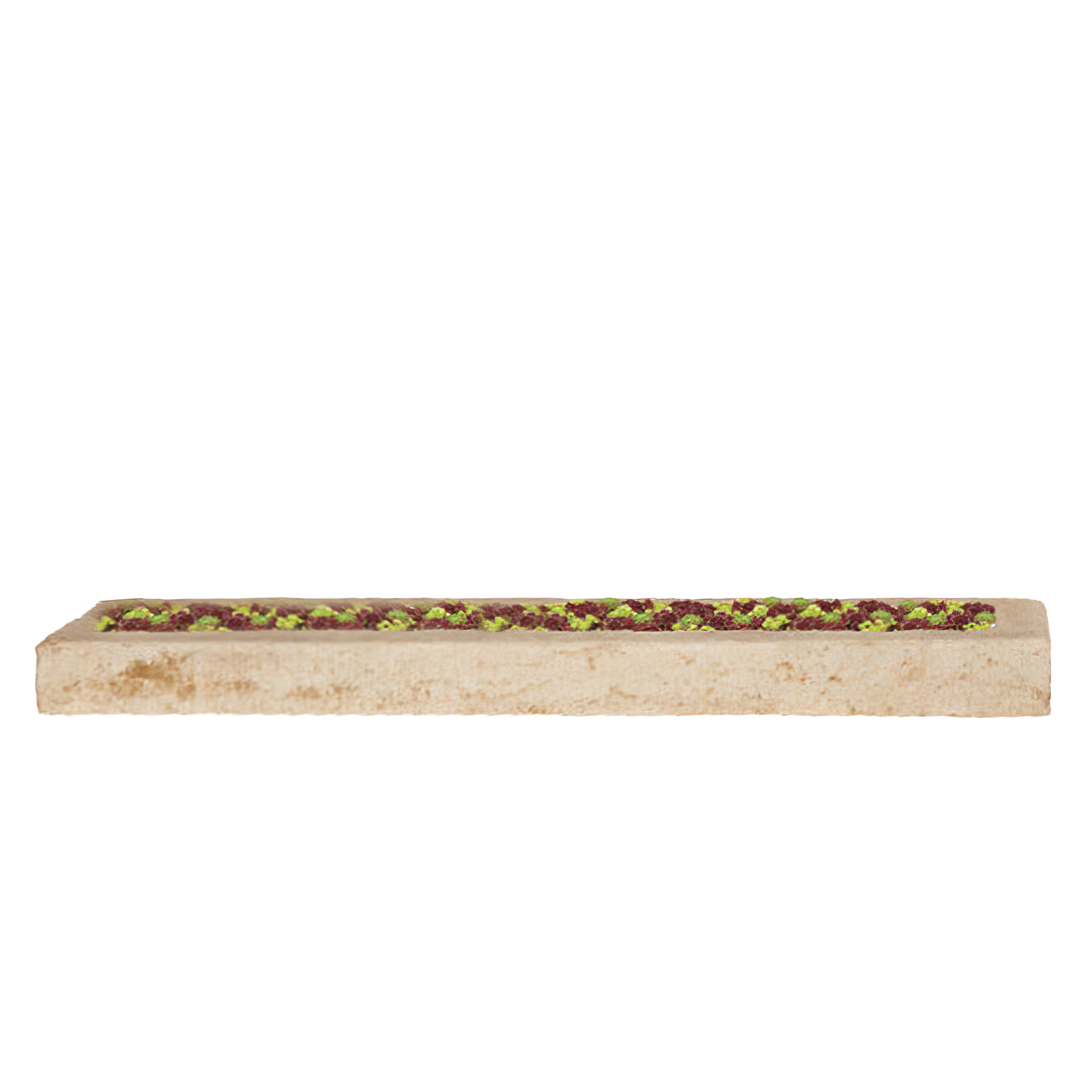 Flaches Pflanzgefäß im modernen Design aus Steinguss - Salix / Portland weiß