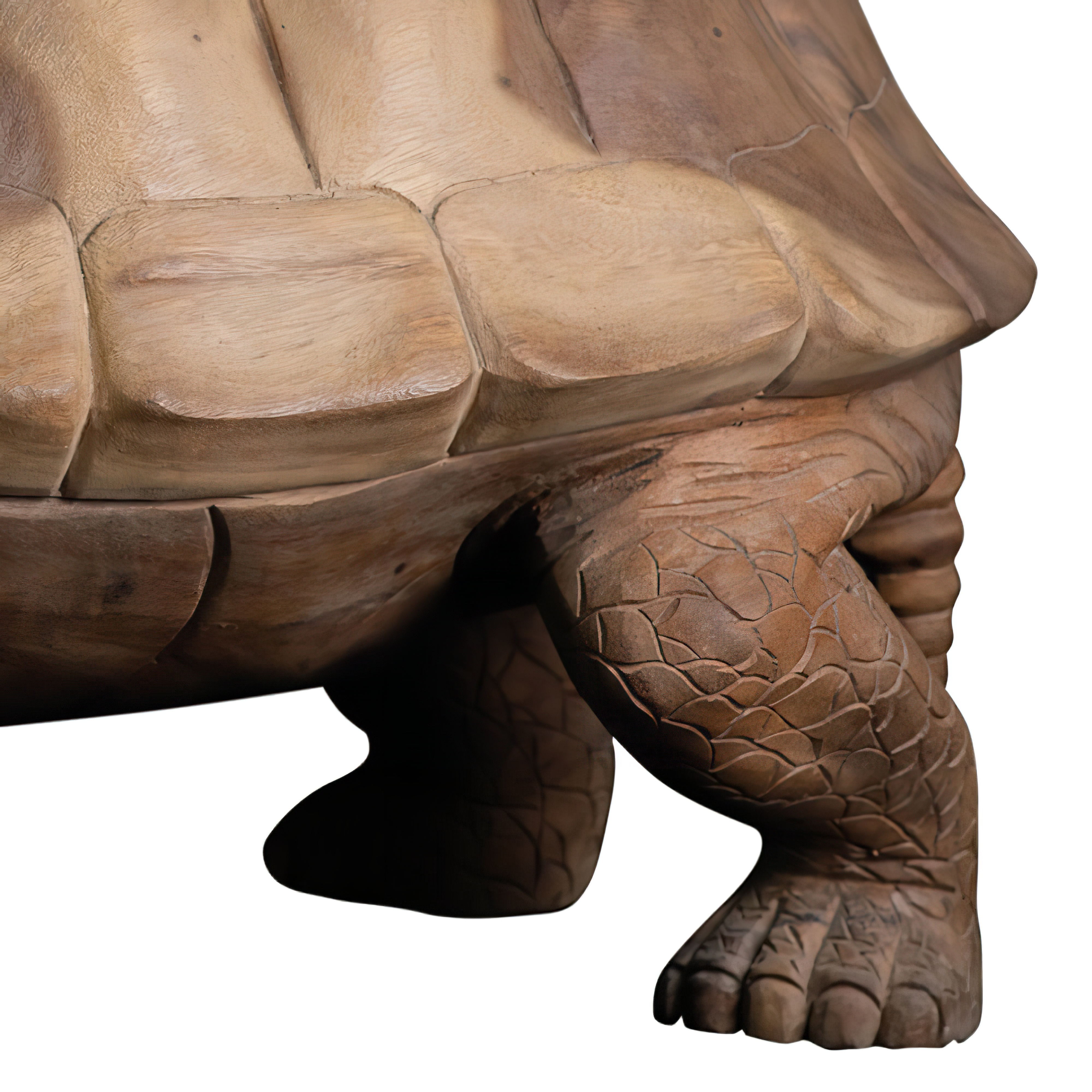 AS-H2-TURTLE-080NA-3