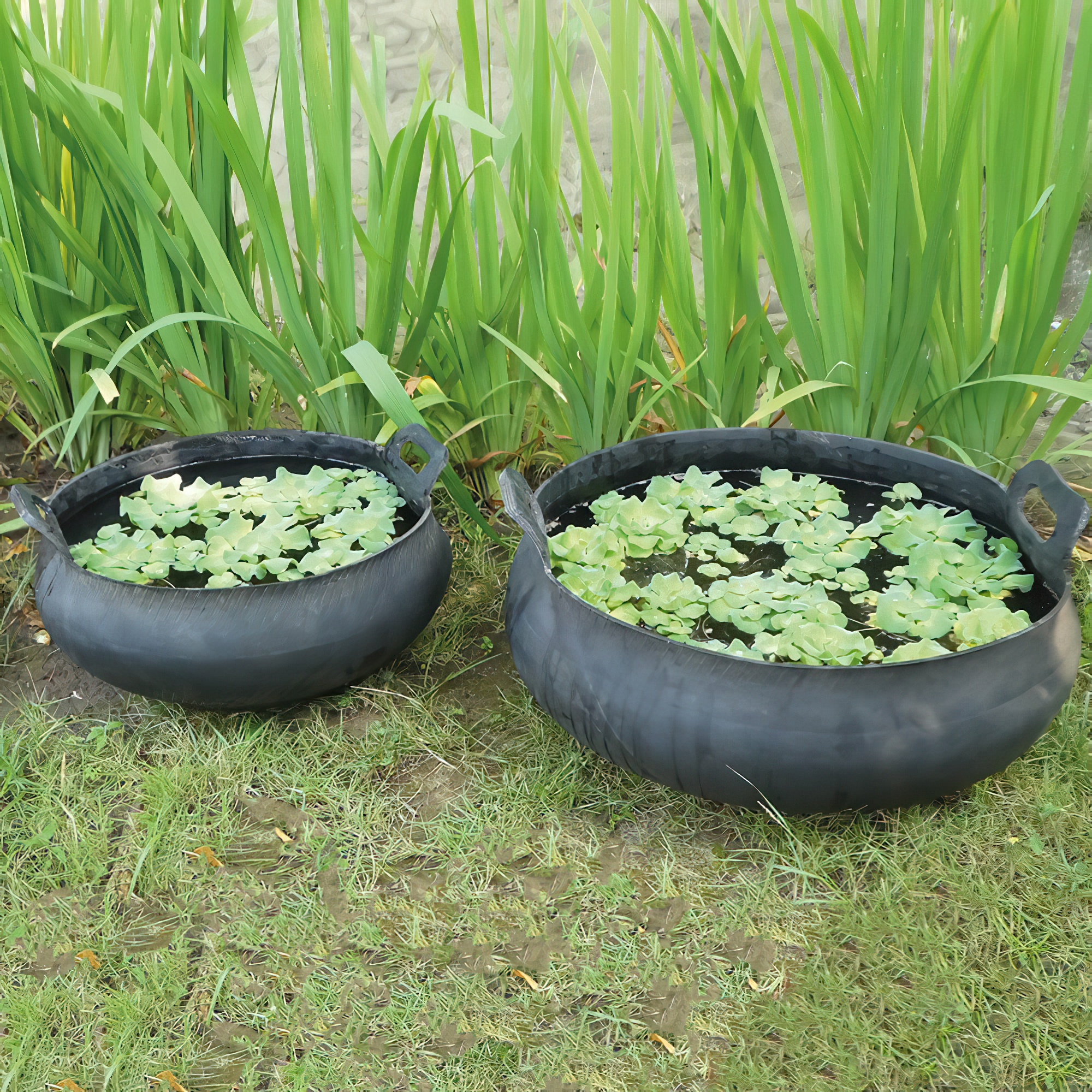 AS-TYRE-BOWL01-060X025-2