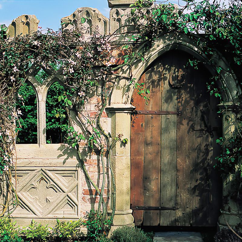 Porte en bois dans un vieux mur en pierre avec des plantes grimpantes vertes, éléments décoratifs de jardin