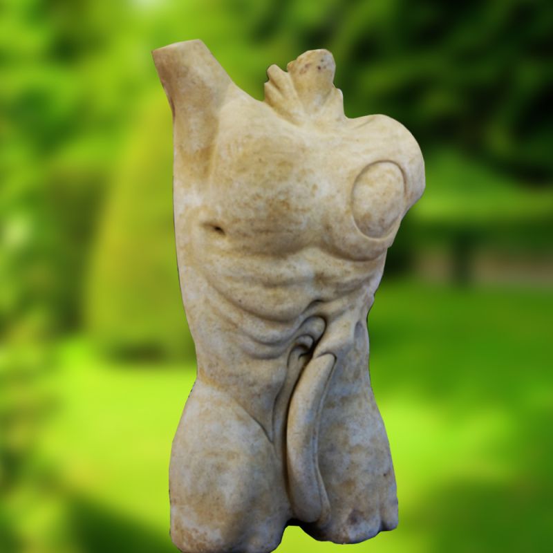 Statue blanche en marbre d'un torse masculin avec une structure musculaire détaillée sur fond de jardin vert