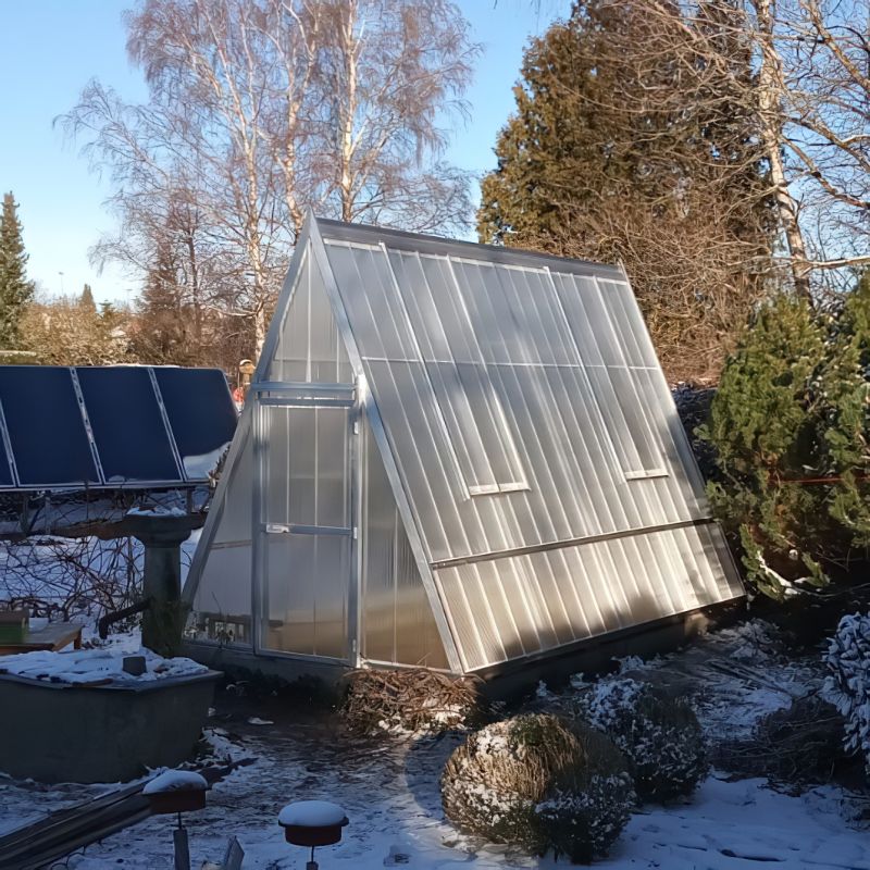 Serre transparente en plaques de plastique dans un jardin enneigé entouré d'arbres
