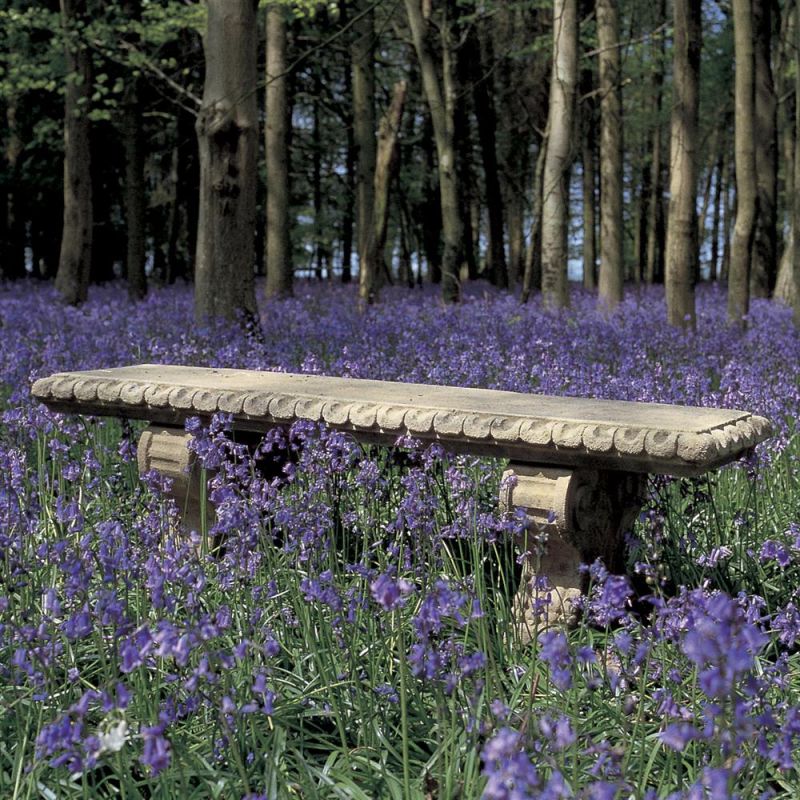 Banc de jardin en pierre détaillé entouré de fleurs bleues dans une forêt