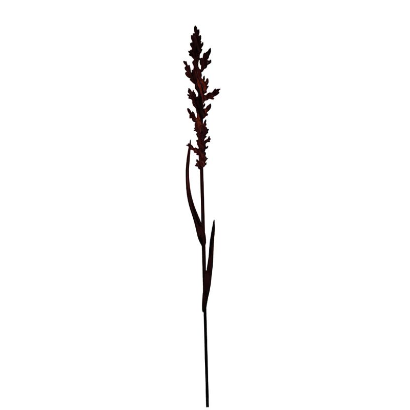 Plante rouge avec tige longue pour décoration de jardin sur fond blanc